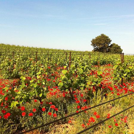 Maison De Margot Peyriac-Minervois Eksteriør bilde