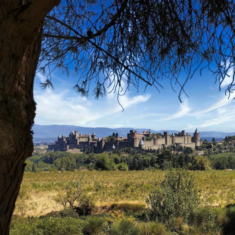 Maison De Margot Peyriac-Minervois Eksteriør bilde