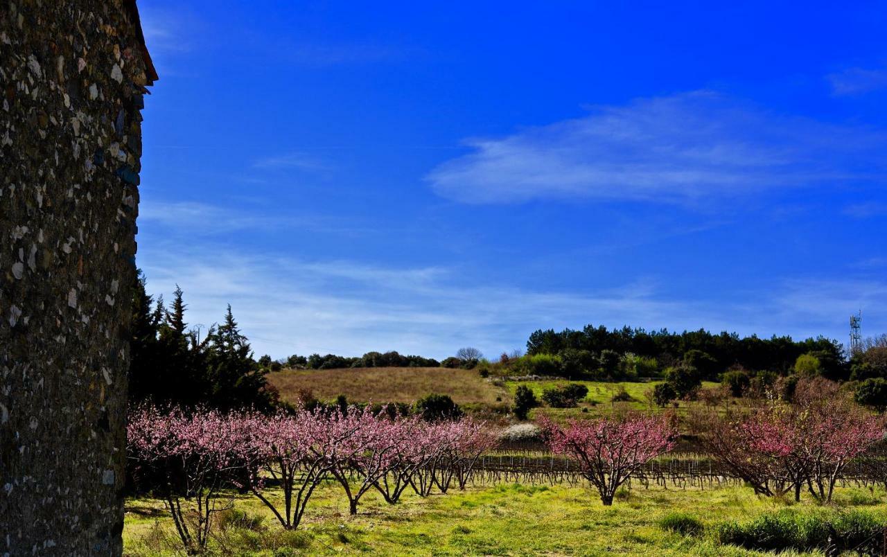 Maison De Margot Peyriac-Minervois Eksteriør bilde