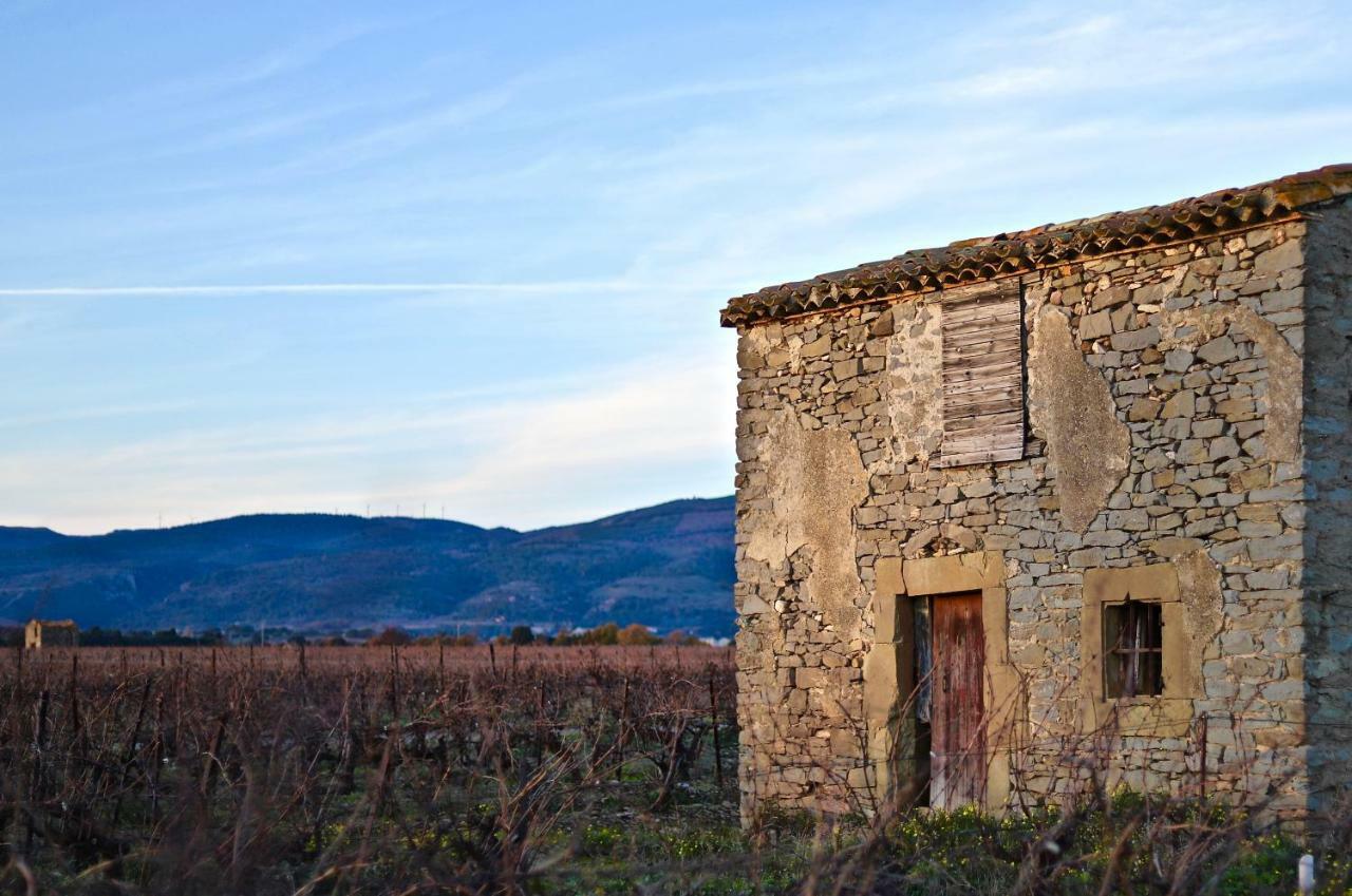 Maison De Margot Peyriac-Minervois Eksteriør bilde